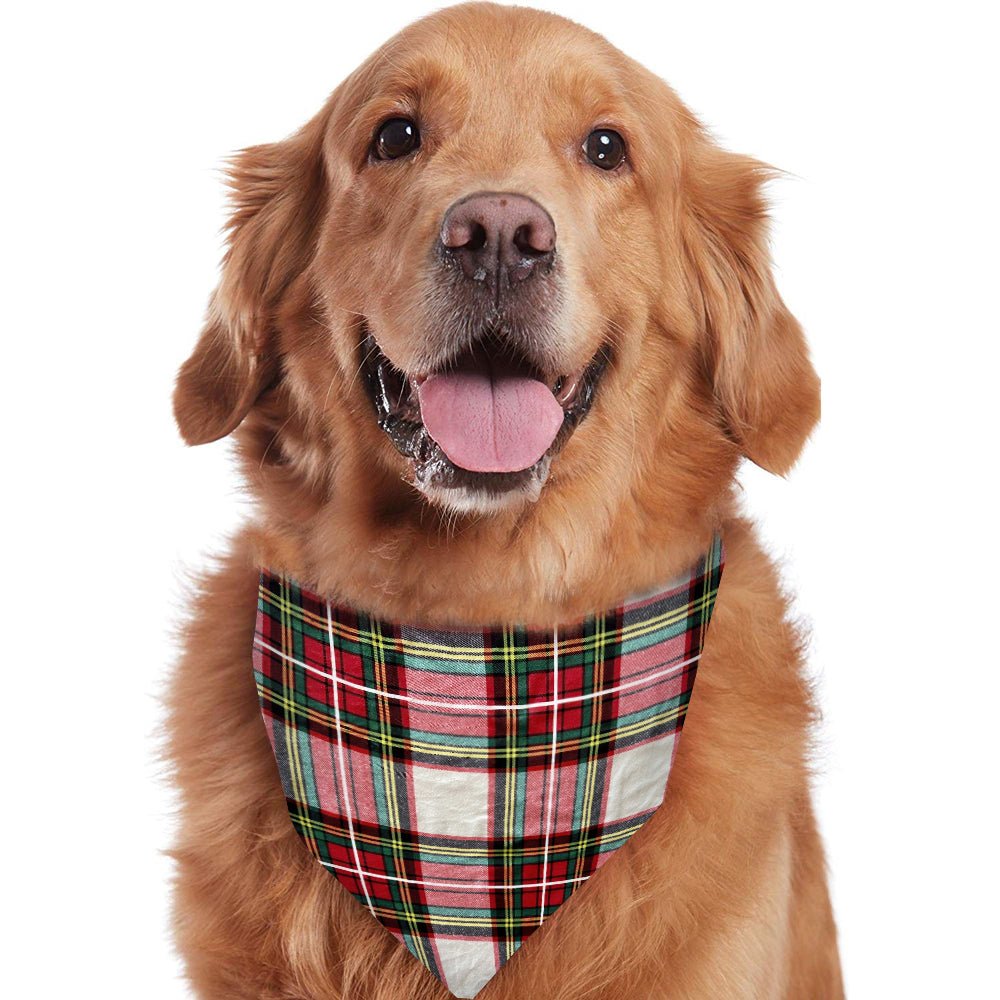 Red and white plaid matching family Christmas pajamas with red crew neck and cuffs - view 7