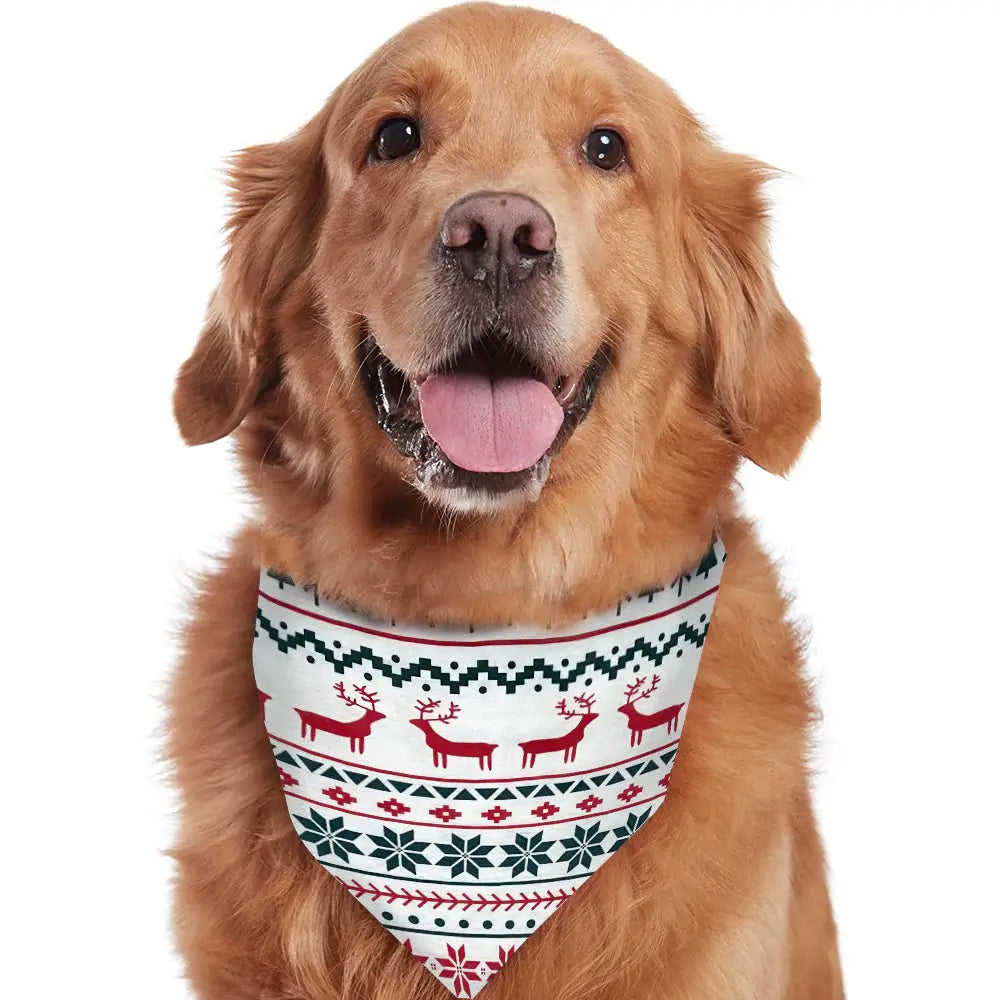 Family wearing matching Fair Isle Christmas pajamas with reindeer print and gray ribbed cuffs - view 10