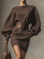 Delphine textured brown long sleeve dress with boat neck and belted waist - view 2