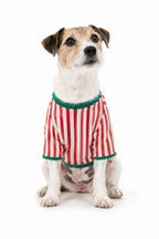 Family wearing matching red and white candy cane striped button-up Christmas pajamas with green piping - view 13