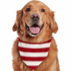 Red and white striped family matching Christmas pajamas with gray cuffs - view 12