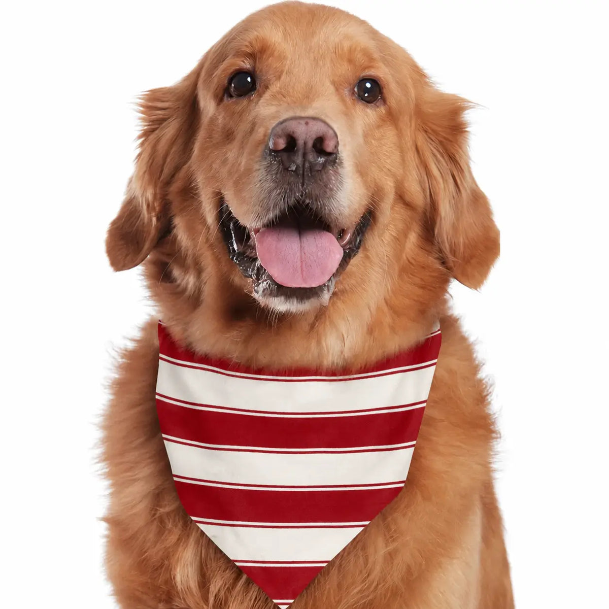Red and white striped family matching Christmas pajamas with gray cuffs - view 12